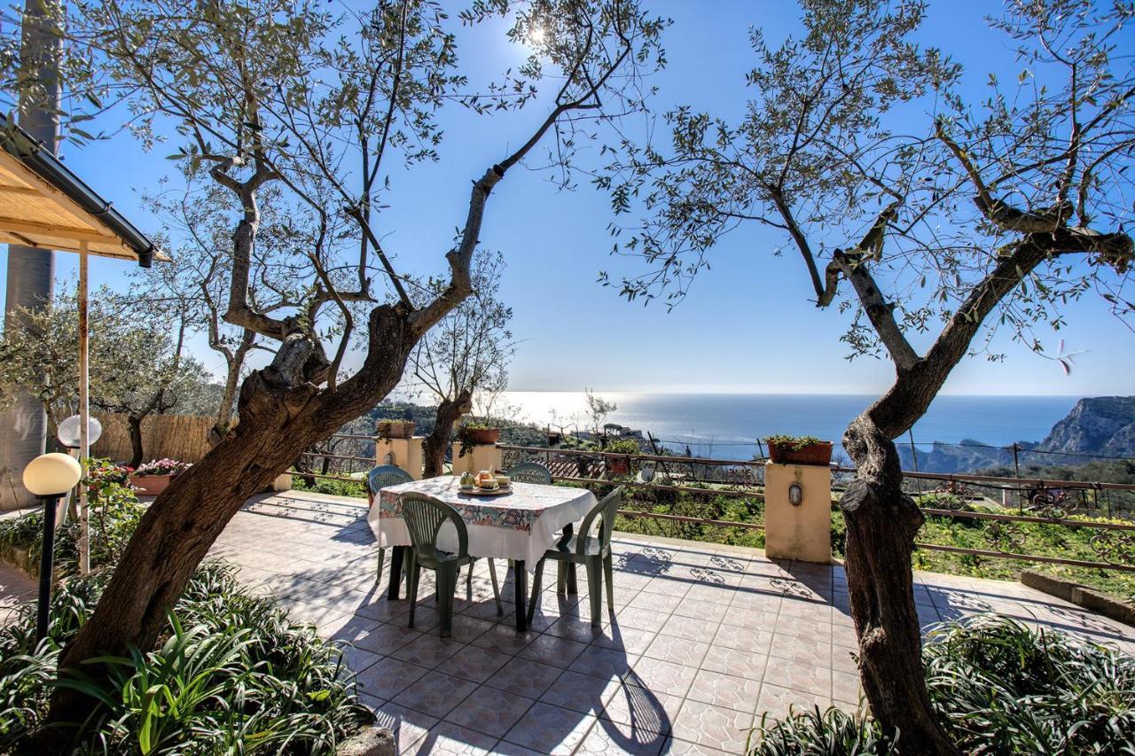 Il Pioppo - Country House Sea View マッサ・ルブレンセ エクステリア 写真